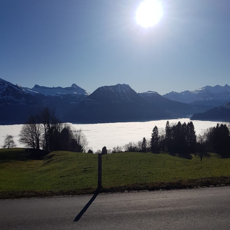 Passhoechi_Beizli_05