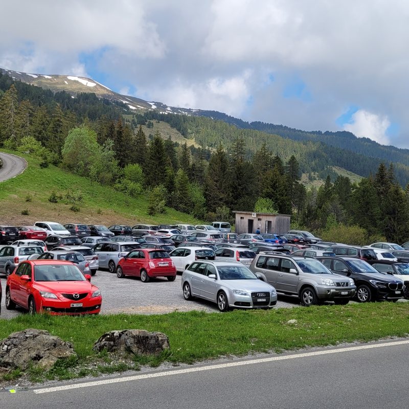 Passhoechi_Beizli_09