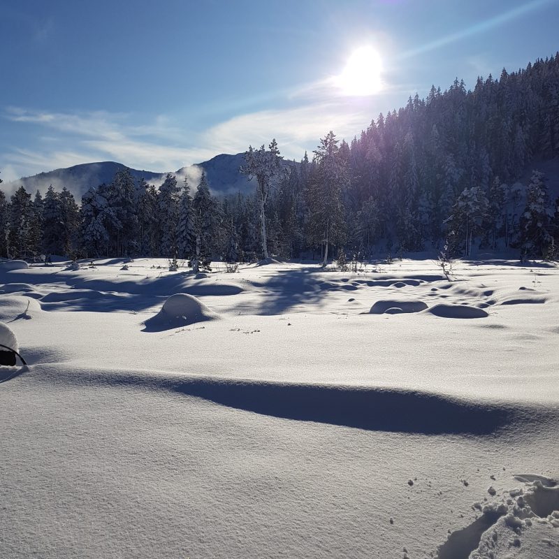 Passhoechi_Beizli_11