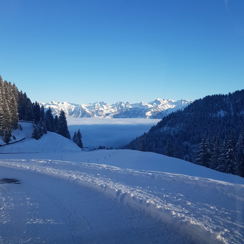 Passhoechi_Beizli_13